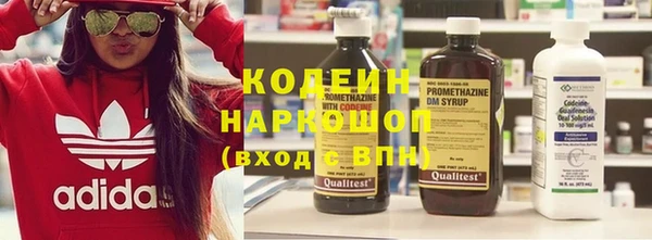 крисы Армянск