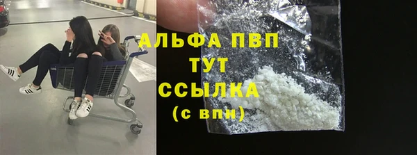 крисы Армянск
