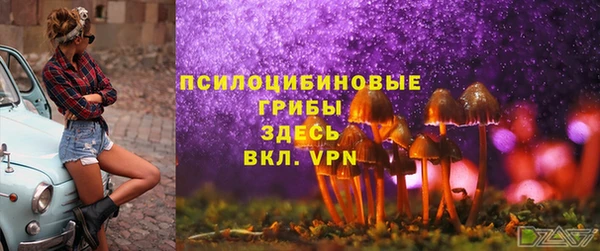 не бодяженный Аркадак