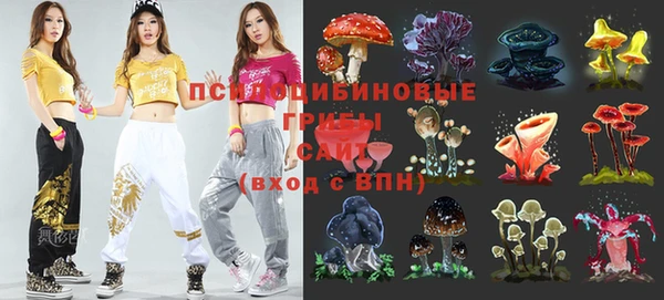 крисы Армянск