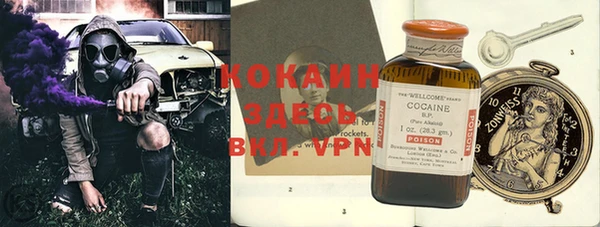 крисы Армянск