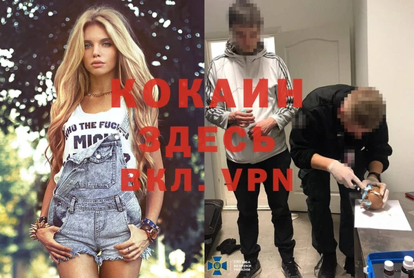 крисы Армянск